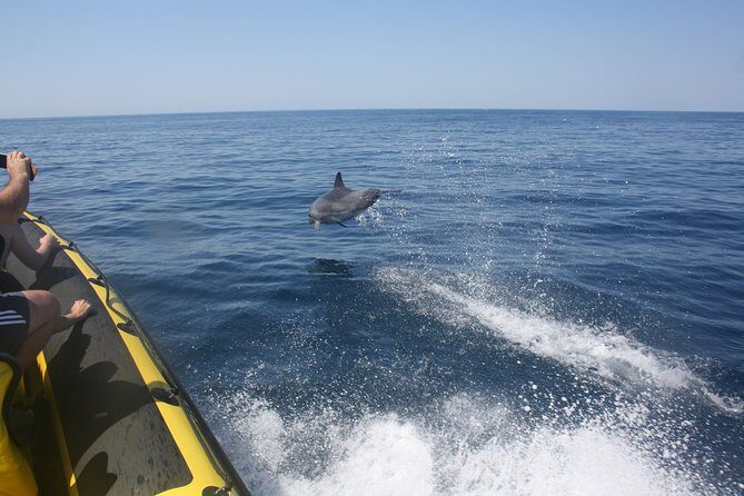 Caves and Dolphin Watching Cruise from Albufeira - Authenticity and Guest Experiences