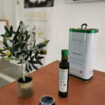 Cazorla: Oleotour - Olive Oil Culture Initiation - Who Will Enjoy This Tour?