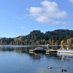 Central and Eastern Europe Highlights 7-Day Tour from Frankfurt - Why This Tour Works for You