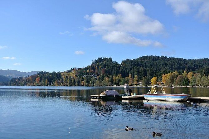 Central and Eastern Europe Highlights 7-Day Tour from Frankfurt - Why This Tour Works for You