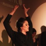 Centro Cultural Flamenco Madrid Admission Ticket - A Deep Dive Into the Flamenco Show