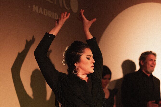 Centro Cultural Flamenco Madrid Admission Ticket - A Deep Dive Into the Flamenco Show