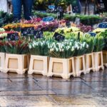 Cézanne Pathway : Wine and Art in Majestic Aix en Provence - Wine Tasting and Final Stops