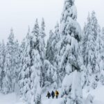 Chamonix: Snowshoeing with Local Cheese & Wine Tasting - Why This Tour Offers Great Value