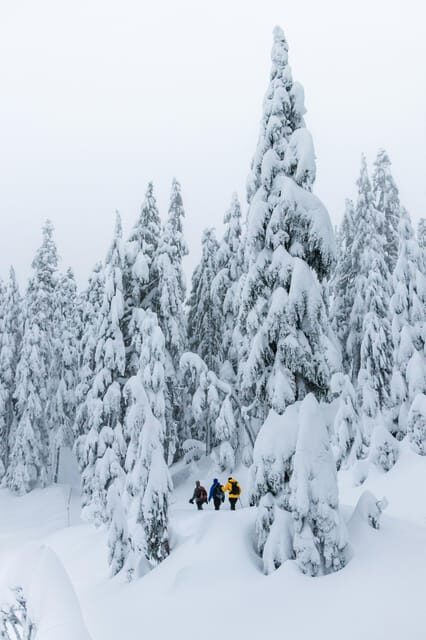 Chamonix: Snowshoeing with Local Cheese & Wine Tasting - Why This Tour Offers Great Value