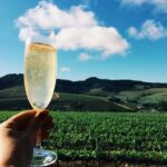 Champagne Cellar tour and tasting - The Sum Up: Is It Worth It?