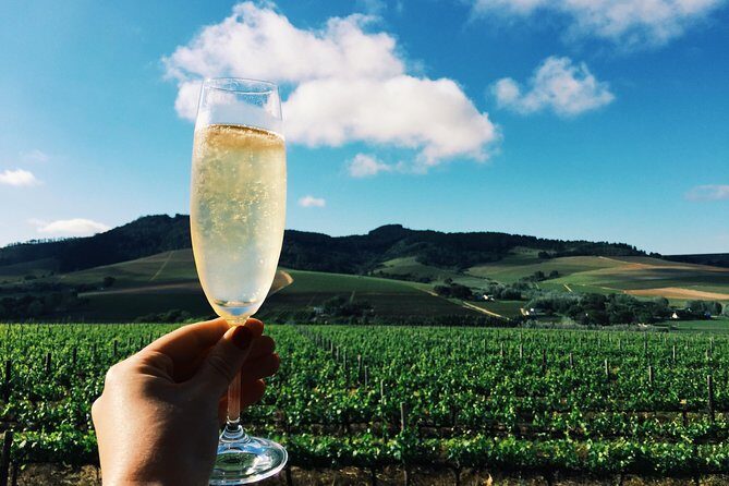 Champagne Cellar tour and tasting - The Sum Up: Is It Worth It?
