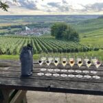 Champagne Small-Group Day Trip with Lunch and Tastings from Paris - Authentic Insights from Travelers