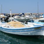 Chania City & Lake Kournas Tour - Who is this tour best for?