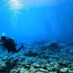 Chania Scuba Diving | Fun Dives | Certified Divers - Final Thoughts: Is This the Right Dive Experience for You?