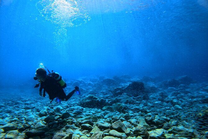 Chania Scuba Diving | Fun Dives | Certified Divers - Final Thoughts: Is This the Right Dive Experience for You?