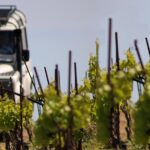Chania Shore Excursion Off Road Vineyard and Winery Tour Half Day - Exploring the Itinerary in Detail