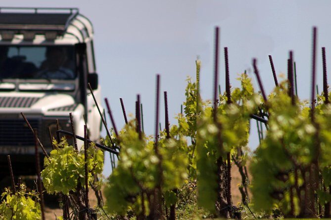 Chania Shore Excursion Off Road Vineyard and Winery Tour Half Day - Exploring the Itinerary in Detail