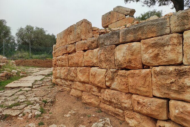 Chania Villages and Aptera Site Private Guided Tour - Who Will Love This Tour?