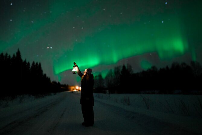 Chasing the auroras guaranteed tour with professional photography - Authentic Experiences and Expert Guides