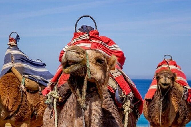 Chefchaouen Day Trip from Seville - Final Thoughts: Is It Worth It?