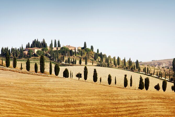 Chianti and Castle Small Group Tour from Siena with Wine Tasting - Practical Details & Considerations