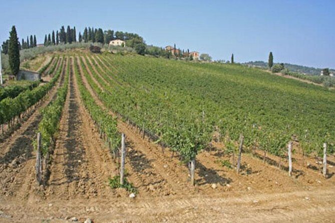 Chianti Experience Shore Excursion from Livorno Port - Transportation and Overall Logistics
