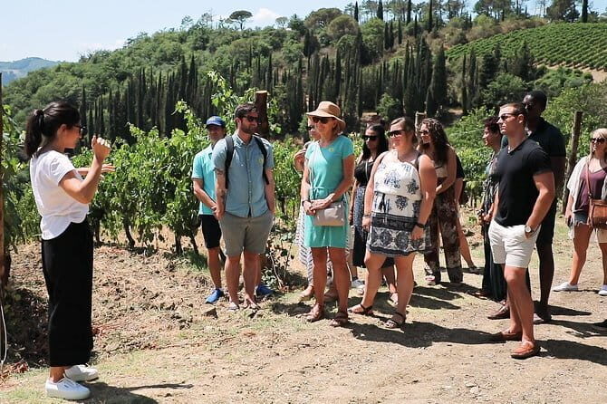 Chianti Wine Tour from Florence - What You Can Expect