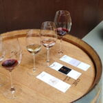 Chianti Winery + Brolio Castle Private Tour - A Deep Dive into the Itinerary