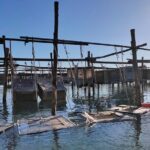 Chioggia : Aquaculture Secrets Tours of the Lagoon - FAQs