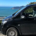 Cinque Terre Tour by van from Lucca, Pisa or La Spezia Port - Who Is This Tour Best For?