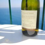 Cinque Terre Wine Tasting and Boat Trip - Practical Details & What You Need to Know