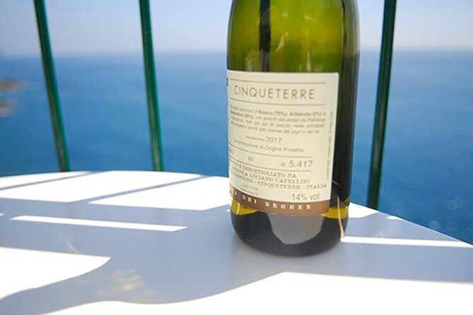 Cinque Terre Wine Tasting and Boat Trip - Practical Details & What You Need to Know