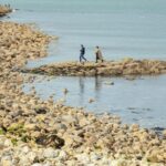 City Explorer: Howth Private Day Trip - Practical Aspects of the Tour