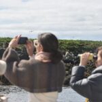 Classic Puffin Watching Cruise from Downtown Reykjavík - Practical Details & What to Expect