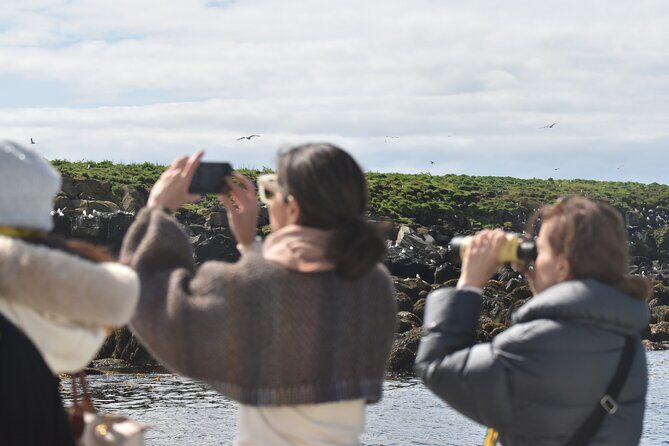 Classic Puffin Watching Cruise from Downtown Reykjavík - Practical Details & What to Expect