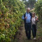 Classic Tasting | Quinta de Santa Cristina Vinho Verde - What Makes This Tour Stand Out?