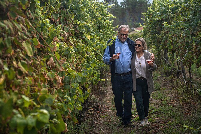 Classic Tasting | Quinta de Santa Cristina Vinho Verde - What Makes This Tour Stand Out?