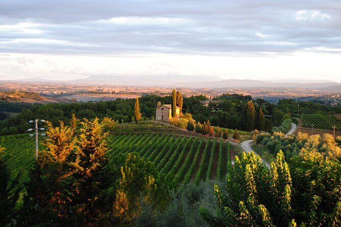 "CLASSIC" Wine Tasting and Typical Tuscan Products - Who Would Love This Tour?