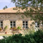 Classic Wine Tasting in Montalcino - Who Will Love This Experience?
