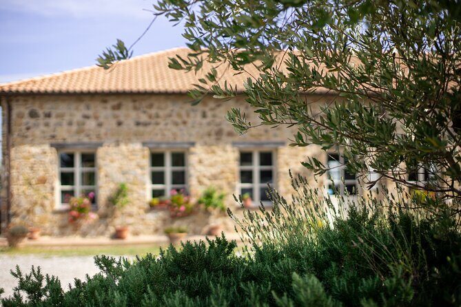 Classic Wine Tasting in Montalcino - Who Will Love This Experience?