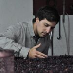 Classic Wine Tasting with GUIDED TOUR - Who Is This Tour Best For?