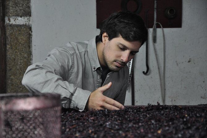 Classic Wine Tasting with GUIDED TOUR - Who Is This Tour Best For?