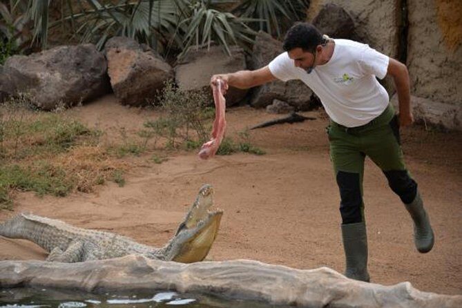 Cocodrilo Park Zoo Admission Ticket in Agüimes - Authentic Reviews and Insights