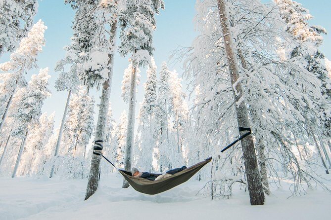 Cocooning in the HaliPuu forest: The ultimate Arctic hammock relaxation - The Hammock Cocoon: The Heart of the Experience