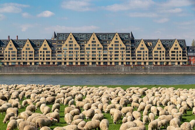 Cologne Private Roundtrip transfer incl. chocolate museum tickets - FAQ