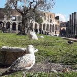 Colosseum, Roman Forum, Palatine - Exclusive Private Tour - Walking Through the Roman Forum