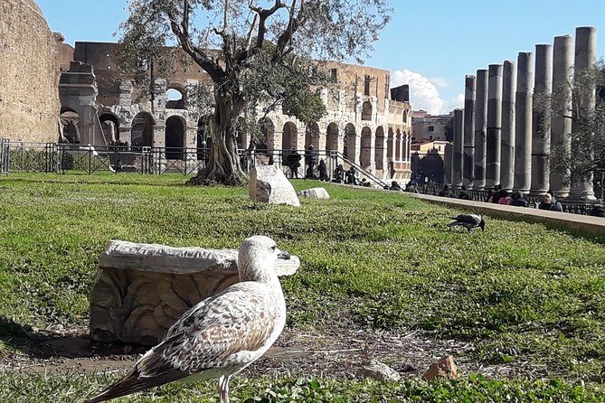 Colosseum, Roman Forum, Palatine - Exclusive Private Tour - Walking Through the Roman Forum