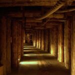 Combined tour Auschwitz Birkenau guided & Salt Mine guided from Krakow - Practical Details: What You Need to Know