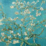 Combo Ticket: Van Gogh Museum Ticket and 1-Hour Canal Cruise - The Breakdown of the Itinerary