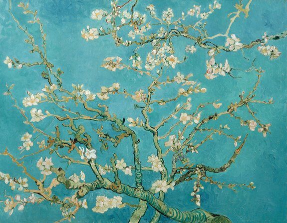 Combo Ticket: Van Gogh Museum Ticket and 1-Hour Canal Cruise - The Breakdown of the Itinerary