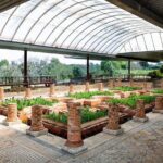Conímbriga Roman Ruins & Museum - Who Would Love This Tour?