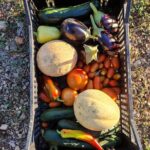 Cooking class on island Brac - What Sets This Apart?