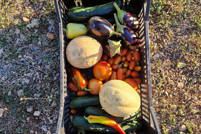 Cooking class on island Brac - What Sets This Apart?