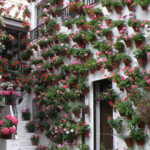 Cordoba Courtyards by Bike, Electric Bike - Who Will Love This Tour?